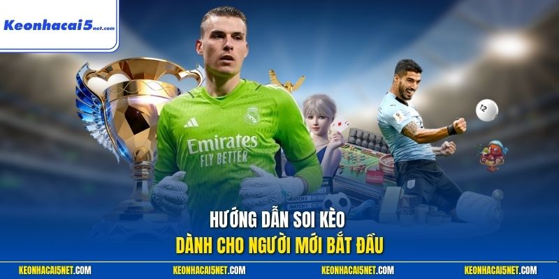 Hướng dẫn soi kèo dành cho người mới bắt đầu